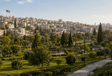 أمانة عمان تزيد من مساحة الرقعة الخضراء في 2026