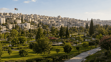 أمانة عمان تزيد من مساحة الرقعة الخضراء في 2026