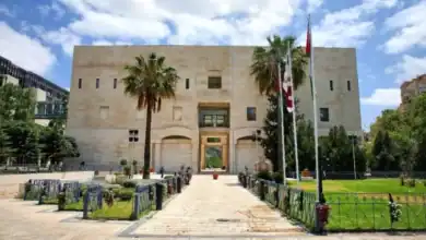 تعليمات جديدة لتنظيم بيع وتداول الخضار والفواكه في عمّان