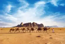 نمو ملحوظ في أعداد قاصدي وادي رم خلال 7 أشهر