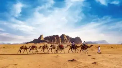 نمو ملحوظ في أعداد قاصدي وادي رم خلال 7 أشهر