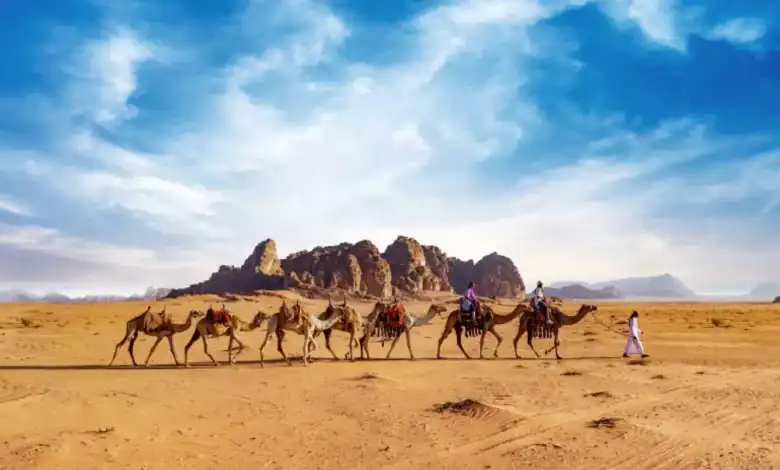 نمو ملحوظ في أعداد قاصدي وادي رم خلال 7 أشهر