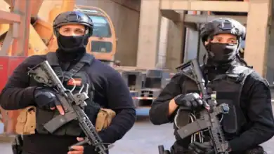 الإطاحة بثلاث شبكات لترويج المواد المخدرة في عمّان وإربد