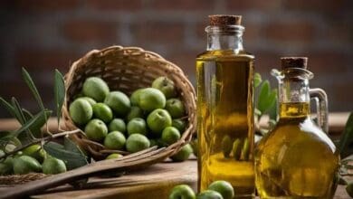 زيت زيتون أردني خلال موسم وصفته وزارة الزراعة بالوفير
