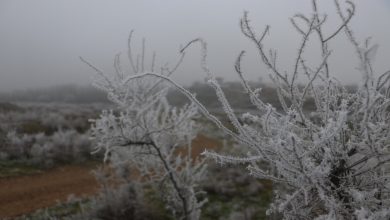 الأرصاد تحذر من تشكل الصقيع والضباب في ساعات الليل